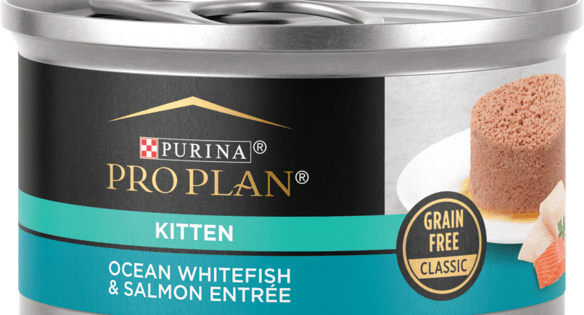 Purina Pro Plan Pro Plan Development Ocean Whitefish & Salmon Entrée Classic Grain Free